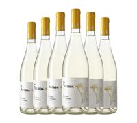 Josep Foraster Els Nanos Blanc del Coster Macabeo Conca de Barberà 75 cl Vino blanco (Caja de 6 Botellas de 75 cl)