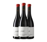 Josep Foraster Julieta Trepat Conca de Barberà 75 cl Vino tinto (Caja de 3 Botellas de 75 cl)