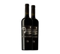 Josep Foraster Negre Selecció Conca de Barberà 75 cl Vino tinto (Caja de 2 Botellas de 75 cl)