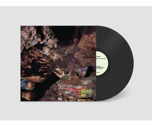 Joseph Decosimo, Luke Richardson, Cleek Schrey Beehive Cathedral (Vinyl)