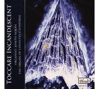 Joseph Nolan - Toccare Incandescent