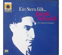 Joseph Schmidt - Ein Stern Fällt...