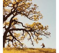 Joshua Bassett - The Golden Years