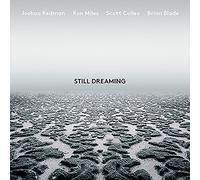 Still Dreaming (feat. Ron Miles, Scott Colley & Brian Blade)(Vinyl)