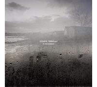 Joshua Trinidad - In November [VINYL] [Vinilo]