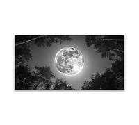 JOSUE Cuadros Bosque Luna Minimalista Cuadros Cocina Lienzo,Black,white Cuadro DecoracióN De Pared Salon Dormitorio-50x100cm Sin marco