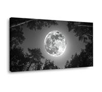 JOSUE Cuadros Grandes Bosque Luna Minimalista Cuadros Modernos Lienzo,Black,white Cuadro DecoracióN De Pared Salon Dormitorio Cocina-50x100cm Enmarcado