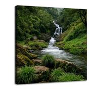 JOSUE Impresión de Lienzo Árbol de la Vida Botánico Vintage Arte Mural Río Cuadro Moderno Cuadros Pared Imágenes Wall Art Prints Decor Grande XXL（Verde 73-50x50cm Enmarcado
