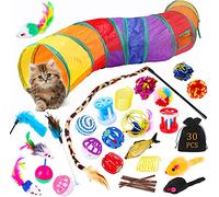 JOTOL Juguetes Gato,30 Piezas Kit Juguete Gatos,Juguetes para Gatos Interactivos Juegos Gatitos con Túnel,Pescado,Ratón,Pluma,Pelota Juegos Gatito