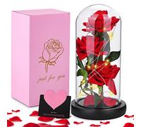 JOTOL Kit de Rosa Eterna Bella y Bestia, Elegante Cúpula de Cristal con Base Pino Luces LED, Regalos Románticos para San Valentin, Día de Navidad, Cumpleaños Mujer,Madre,Novia