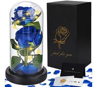 JOTOL Kit de Rosas Eternas Azules de La Bella y La Bestia, con Elegante Cúpula de Cristal, Base Removible de Pino, Luces LED y 1 Tarjeta, Rosas Dobles para San Valentín/Día de Madre