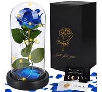 JOTOLa Bella y la Bestia Rosa,Kit de Rosas,Rosa Eterna Flower Natural Preservada,Base Removible,Rosa Eterna en Cúpula de Cristal con Luz LED y Tarjeta de Felicitación,Regalos para Ella