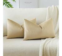 JOTOM Funda de Cojín de Terciopelo 40x60 cm Sólido Suave Cojín Decorativo para el Sofá Decoración del Hogar Dormitorio Juego de 2