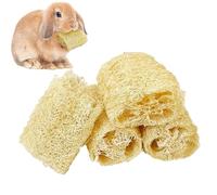 Jouets À Mâcher Lapin - 4 piezas Loofah Lapin Accesorios De Jeu - Jouets Interactifs Chinchilla - Destiné à Pa UX Refuges Magasins Cha