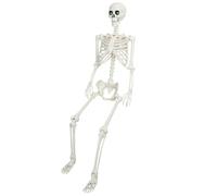 joukares Esqueleto de Halloween de 5,4 pies, tamaño real de la vida, hueso de esqueleto humano posable con articulaciones móviles para casa de miedo, fiesta, jardín, interior, decoración de Halloween