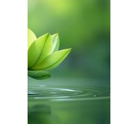 Journal 6x9 blank lines 150 page with Affirmations for Healing