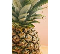 Journal: 6x9 Pineapple Paperback Notebook with 100 Lined Pages to Record Your Daily Thoughts and Experiences