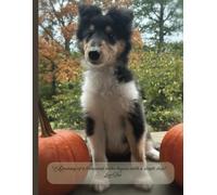 Journal Notebook: A Journey of a Thousand Miles | Rough Collie Puppy | College Ruled Notebook | Journal notebook college ruled, 8.5 x 11, 120 Pages, For kids, teens, and adults
