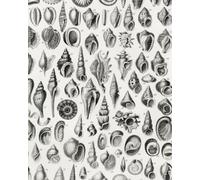 Journal: Wide Ruled Lined 8 x 10 in. 240 Page Notebook for Reflection, Mindfulness, Gratitude, Memories, Plans, and Creativity | Vintage Shells Illustration Cover