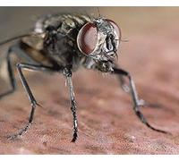 Journey of Life ~ Seas of Life