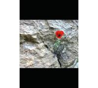 Journey To Identity: An Ethnography of Being Kurdish in the Imagined Community of Iran A Kurdish Woman's Journey to Identity in Iran