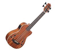 Journeyman Fretted - Bajo en U (con bolsa)