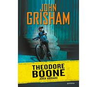 Joven abogado (Theodore Boone 1) [Español]