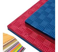 JOWY Tatami Puzzle para Gimnasio, Artes Marciales, Judo, Karate, Taekwondo, Yoga, Fitness y Zonas de Estiramiento | 1x1m | 2 cm Grosor | Acabado F | Color Rojo/Azul (18 Unidades)