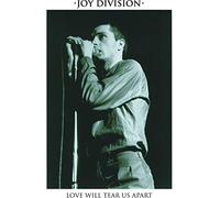 Joy Division - Love Will Tear Us Apart [Vinilo]