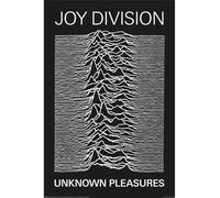Joy Division - Póster Unknown Pleasures (91,5 cm x 61 cm) (Negro, Blanco)