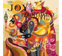 JOY FORMIDABLE,THE - AAARTH [Vinilo]