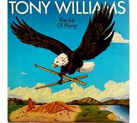 Joy of Flying [Vinilo]