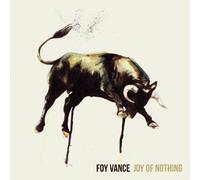 Joy Of Nothing by Foy Vance (2013-08-27)