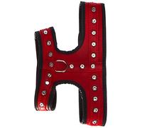 Joy P M Rosso Pettorina
