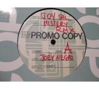 JOY SALINAS - The Mystery Of Love