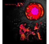 Joy – Under the Spell of Joy – Vinilo 12" (Importación USA)