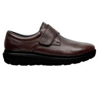 JOYA EDWARD M BROWN