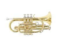 Joyance Corneta de latón Bb Flat Cornet Instrumento de viento de latón, incluye funda de transporte, guantes, paño de limpieza, cepillos, acabado dorado, calidad profesional