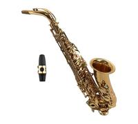 Joyance Saxofhonegifts - Saxofón alto Eb, material de latón para rendimiento, adecuado para principiantes y músicos experimentados, calidad profesional, ideal para los amantes de la música