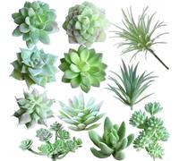 Joyas de flores sin carne hechas a mano a base de plantas diseñadas para una moda sostenible, combinando un estilo vibrante con comodidad y bajo mantenimiento