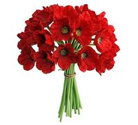 JOYHAZE 12 Amapolas Rojas Artificiales, Flores de Amapola realistas de látex de 13.4 Pulgadas para decoración del hogar, Boda, Fiesta, Navidad, arreglos Florales de Bricolaje, centros de Mesa