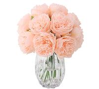 JOYHAZE 8 peonías artificiales, peonías de seda de un solo tallo para bodas, hogar, oficina, fiesta, decoración de ventanas, centros de mesa, arreglos florales de bricolaje (rosa champán)