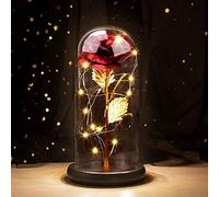 Joyhoop Rosa Bella y Bestia RosaEterna, Rosa San Valentin Regalos Mujer, Rosas Sant Jordi,Rosade Cristal con Base Pino Luces LED,Regalo Original para Mujer Mama Día de la Madre Cumpleaños San Valentin