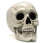 JOYIN Calavera humana de tamaño real para Halloween, decoración de esqueleto para interiores y exteriores, para trucos o tratos. Cabeza humana de plástico realista, cabeza de esqueleto de hueso,
