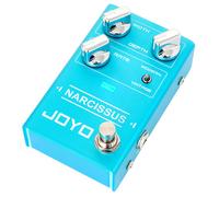 Joyo R-22 Narcissus Chorus