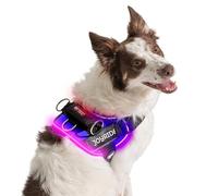 Joyride Harness Arnés para perro con luz LED 2.0, diseño pendiente de patente, 3 modos LED, iluminación recargable vibrante, área de etiqueta de nombre personalizable y práctico botón de