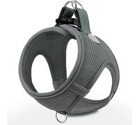 Joytale Arnés de Paso Perro Pequeño, Malla Suave Transpirable, Gris M