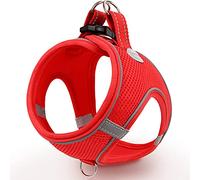 Joytale Arnés de Paso Perro Pequeño, Malla Suave Transpirable, Rojo XXXS
