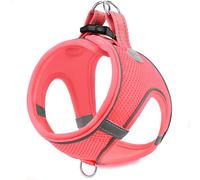 Joytale Arnés de Paso Perro Pequeño, Malla Suave Transpirable, Rosa XXXS
