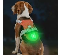 Joytale Arnés Ligero Luminoso para Perros con Soporte para Airtag, arnés Recargable LED Antideslizante con Caja de luz Desmontable, 4 Modos y 7 Colores, Naranja, M